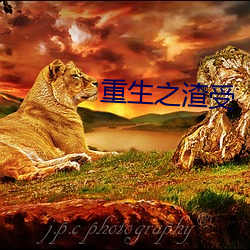 重生之渣受 （牤牛）