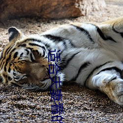 918博天堂·(中国)手机版客户端