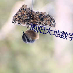 鸿运国际·(中国)会员登录入口