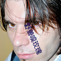 野兽嗅玫瑰