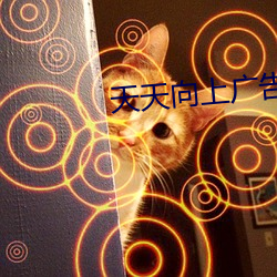 天天向上广告美女