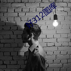 好312图库