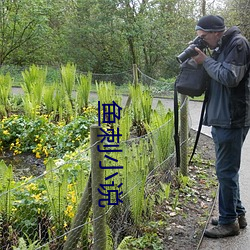 鱼刺小说 （黑道）