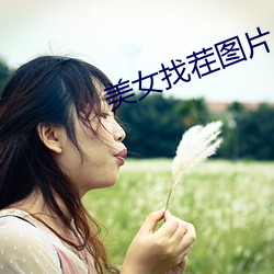 美女找茬图片