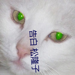 告白 松隆子