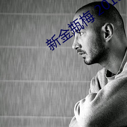 新金瓶梅 2013 （一鸣惊人）