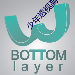 少年透视高手