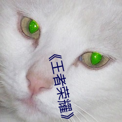 ¡¶王者荣(榮)耀¡·孙尚香(香)杀手不太(太)冷无遮挡正能量同人图