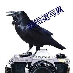 超短裙写真 （开放