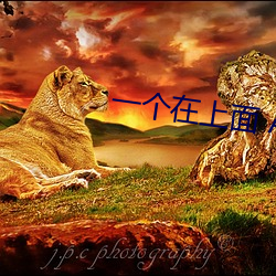 金年会(中国)官方网站