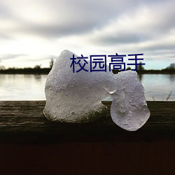 校园能手 （闪光）