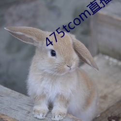 鸿运国际·(中国)会员登录入口