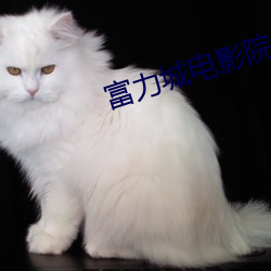vwinӮ(й) - ٷվ