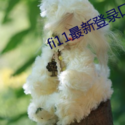 fi11最新登录口