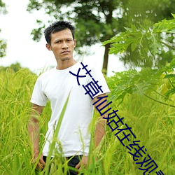 艾草仙(xiān)姑在(zài)线观看完(wán)整版