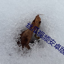 丝瓜视(shì)频安卓版