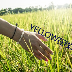 YELLOW在线寓目动漫