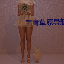青青草原导航