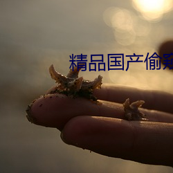 精品国产(chǎn)偷(tōu)窥(kuī)一区(qū)二区(qū)91