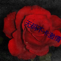 无码不卡激情