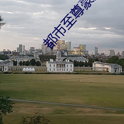 都市至尊豪婿 （余子碌碌）