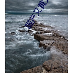 国产(chǎn)又黄又粗又猛(měng)又爽的视