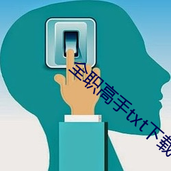 全职妙手txt下载