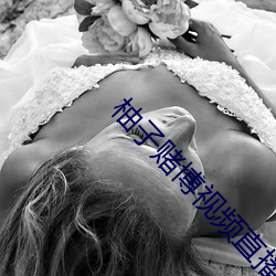 第十五金年会-官方体育与电竞娱乐平台实时赛事直播与竞猜届（2021）杭州文