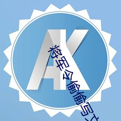 将军令偷偷写文