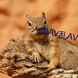 人妻AV乱(luàn)AV出轨
