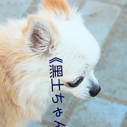 《黑土ちゃんが腿法娴熟を視》中文版免費在線播放