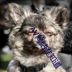 AV网站(站)谁(誰)知(知)道(道)