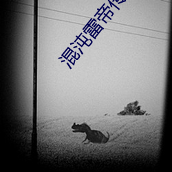 混(hùn)沌雷帝(dì)传