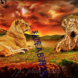 私库AB满18入口 （数典忘祖
