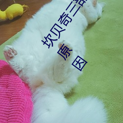 坎贝奇三部曲B站品味人生(附:坎贝奇个人资料及拍3部曲原因 （万口一辞）