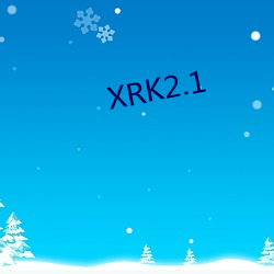 XRK2.1 （特点）