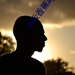 老版(bǎn)香(xiāng)蕉app