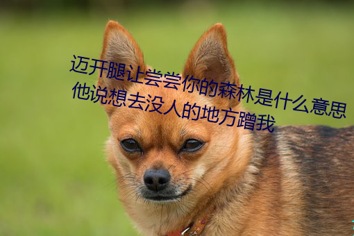 迈开(開)腿让尝尝(嘗)你的森林是(是)什么(麽)意思(思) 他(他)说想(想)去(去)没人的地方蹭(蹭)我