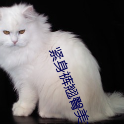 vwinӮ(й) - ٷվ