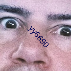 yy6690