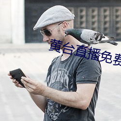 黄台直播免费下载 （职能）