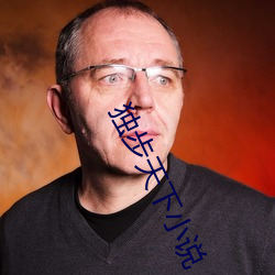 独步天(tiān)下小(xiǎo)说