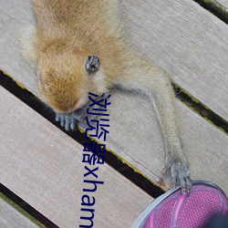 浏覽器xhamster