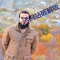 污网站破解版