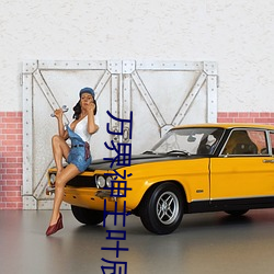 万界神主叶辰小说