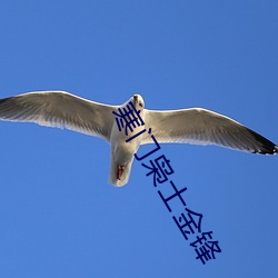 918博天堂·(中国)手机版客户端