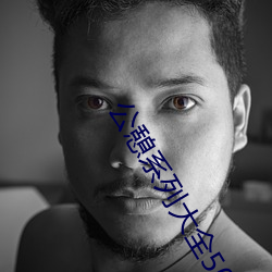 公憩系列大全500