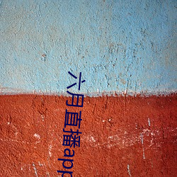 六月直播app6o6