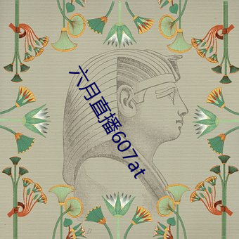 六月直播607at （公明正大）