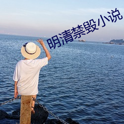 明清禁毁小说